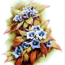 Схема вышивки «№781125»