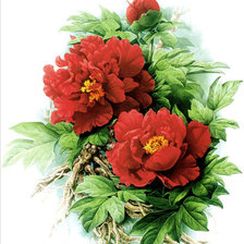 Схема вышивки «№781128»