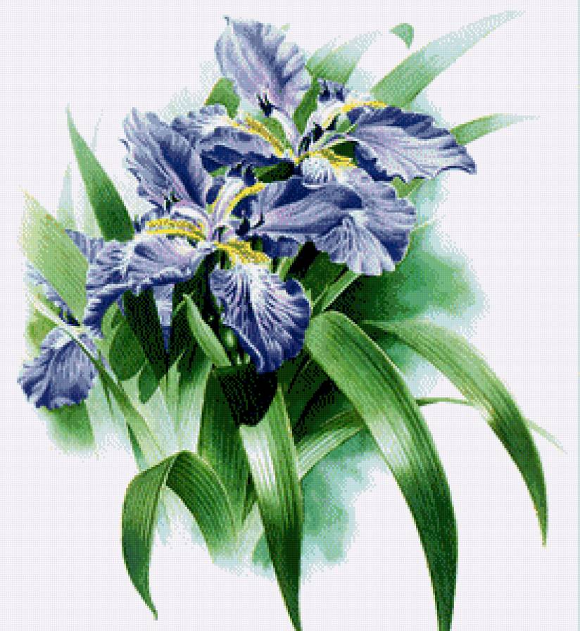 №781130 - предпросмотр