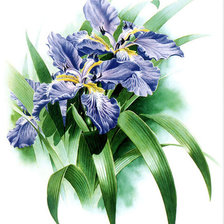 Схема вышивки «№781130»