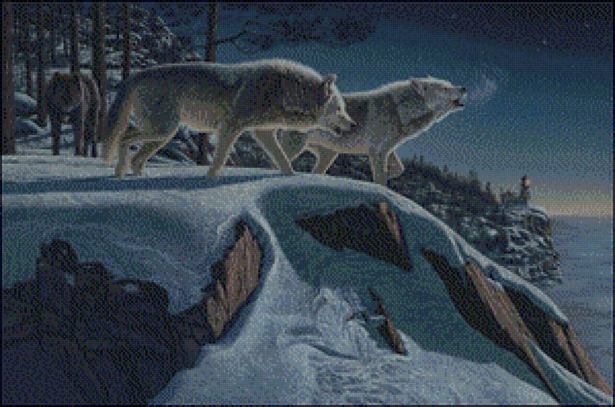 №781137 - предпросмотр