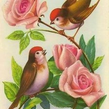 Схема вышивки «№781153»