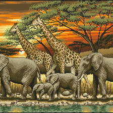 Схема вышивки «№781156»