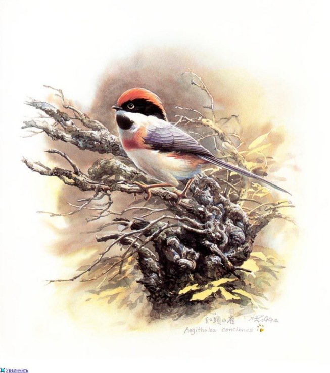 №781176 - оригинал