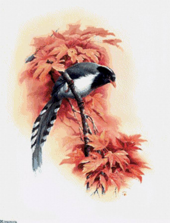 №781181 - предпросмотр