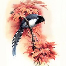 Схема вышивки «№781181»