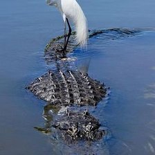 Схема вышивки «Битый небитого везет»