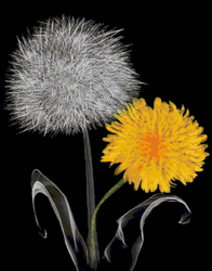 Diente de Leon - предпросмотр