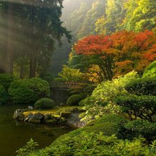 Схема вышивки «осенний парк»