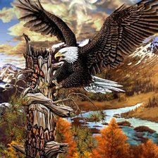 Схема вышивки «орел»