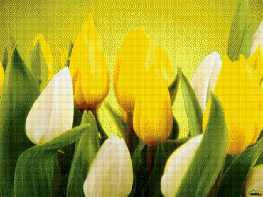 №781479 - цветы - предпросмотр