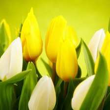 Схема вышивки «№781479»