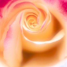 Схема вышивки «№781489»