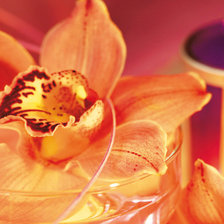 Схема вышивки «№781491»