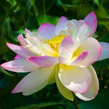 Схема вышивки «№781517»