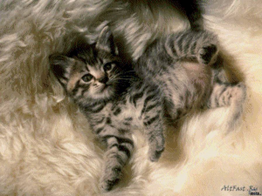 №781520 - котики - предпросмотр