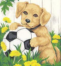 собачка с мячиком