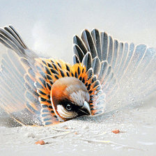 Схема вышивки «№781711»