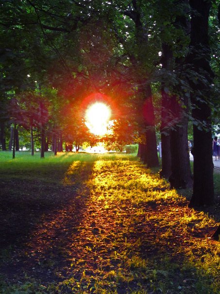 закат - оригинал