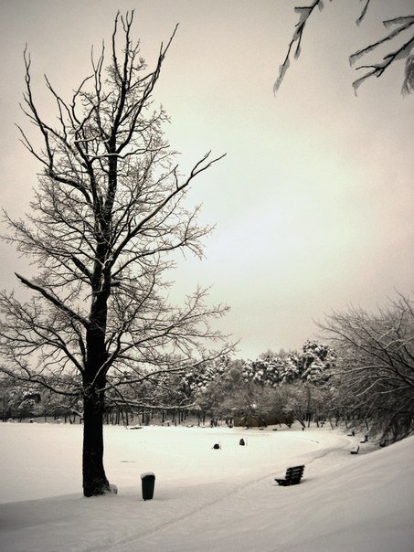 зима - оригинал