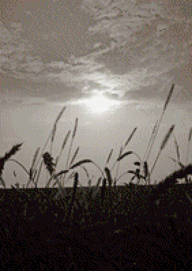 пейзаж - предпросмотр