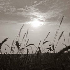 Схема вышивки «пейзаж»