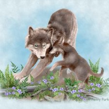 Схема вышивки «№781850»