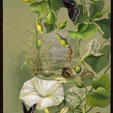 Схема вышивки «№781859»