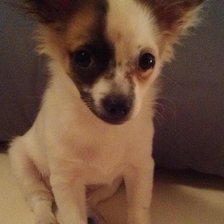 Схема вышивки «2»