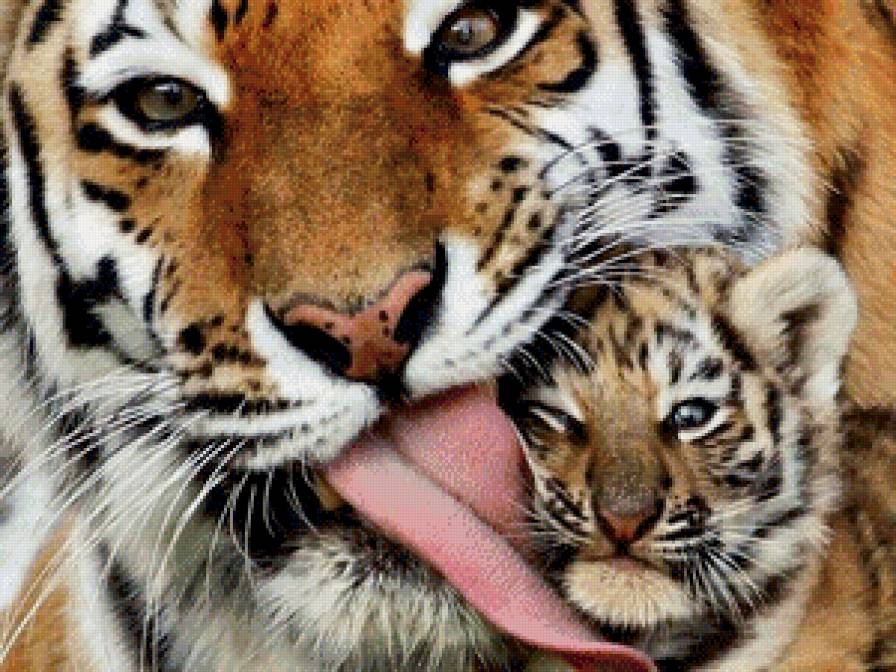 нежность - животные, тигр - предпросмотр