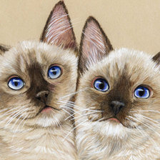 Схема вышивки «серия ,,кошки"»