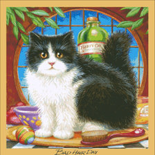 серия ,,кошки