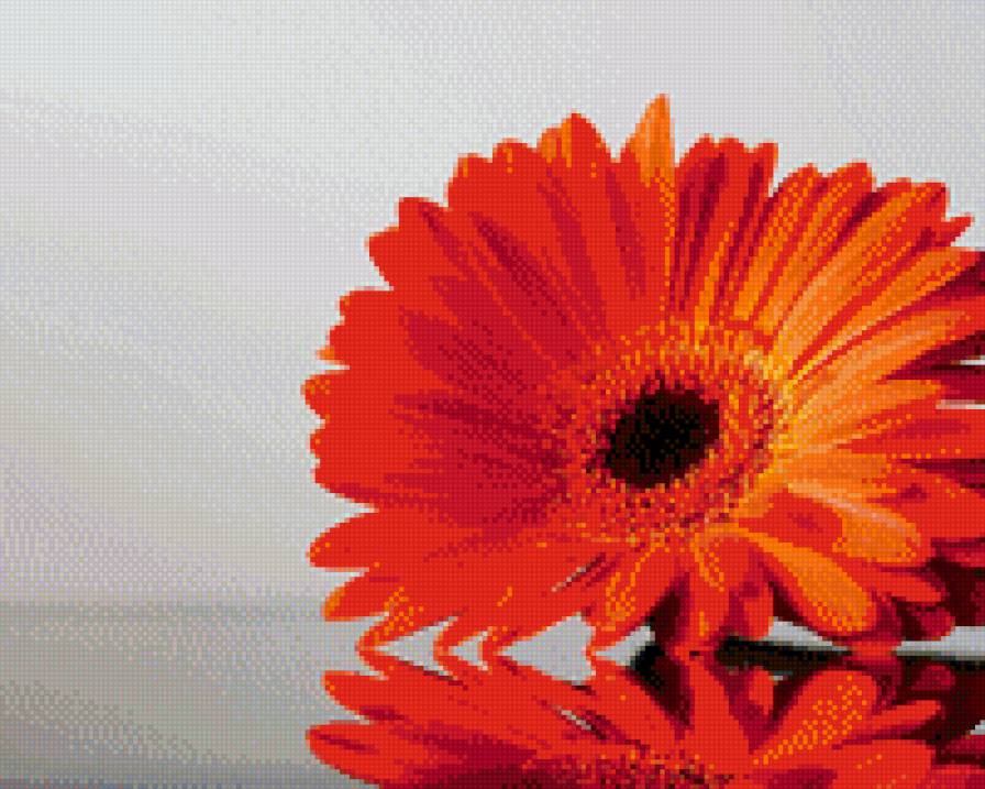 цветок - предпросмотр