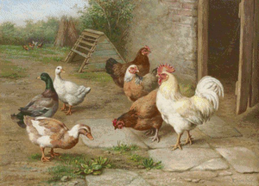 №782428 - предпросмотр