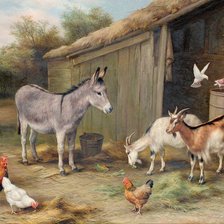 Схема вышивки «№782432»