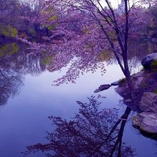 Схема вышивки «природа»