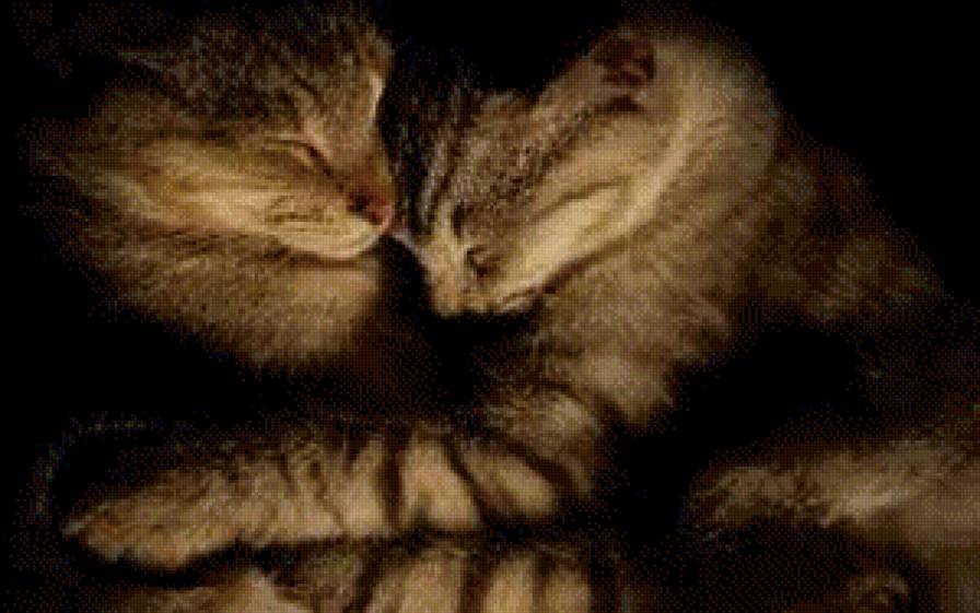 Любовь - нежность, любовь, кошки - предпросмотр