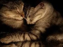 Схема вышивки «Любовь»