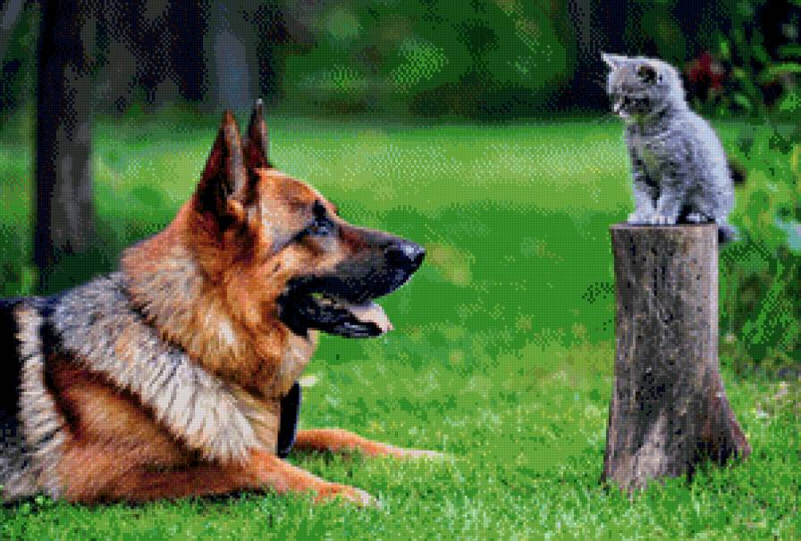 Друзья - овчарка, трава, собака, природа, котенок, животные - предпросмотр