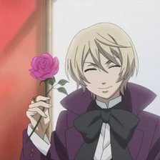 Схема вышивки «алоис»