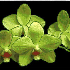 Схема вышивки «цветы»