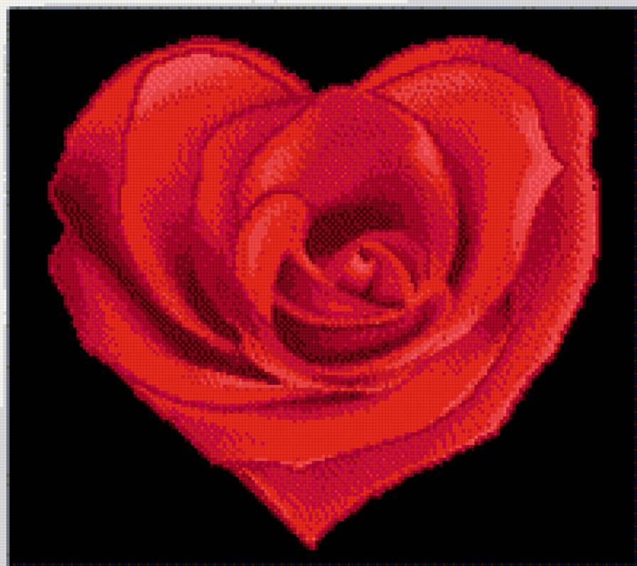 сердце - роза, сердце - предпросмотр