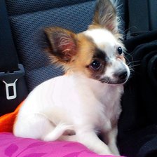 Схема вышивки «з»