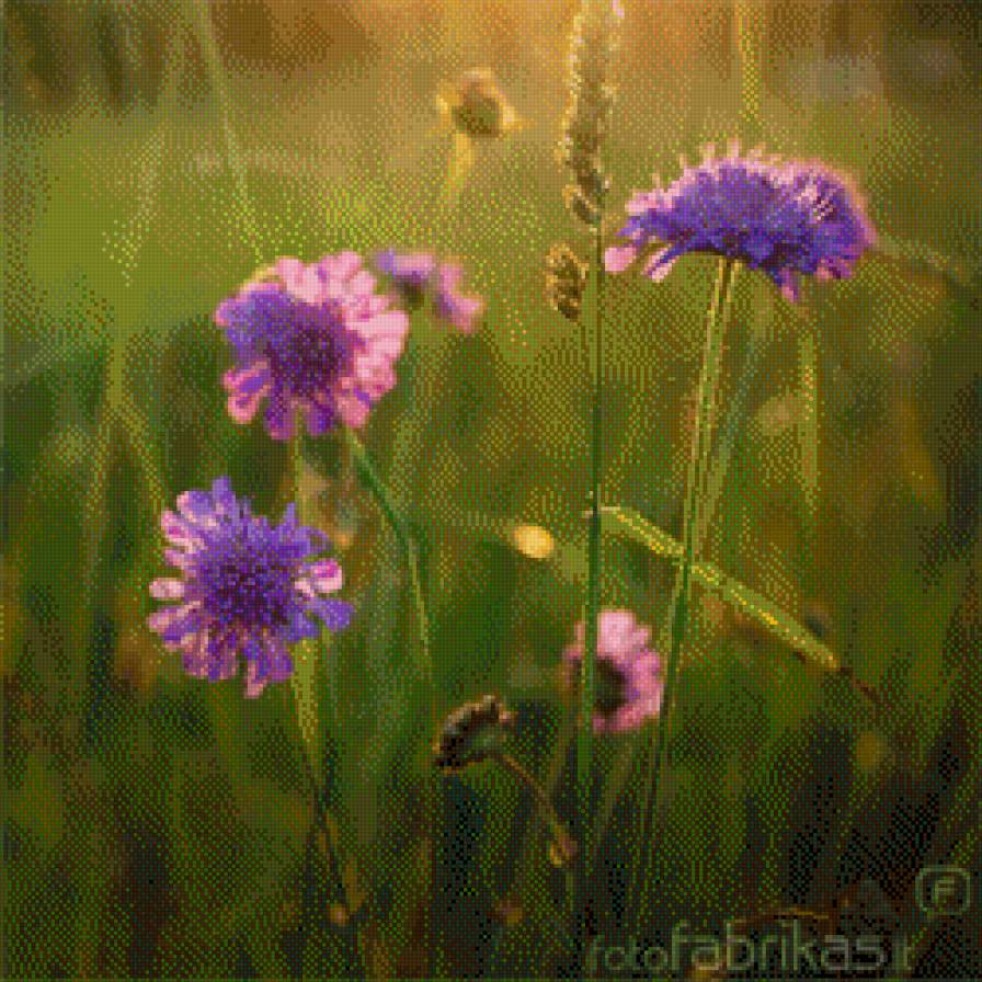 flowers - предпросмотр