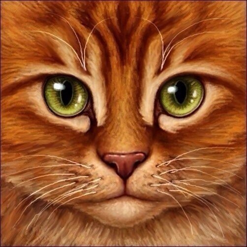 №782688 - кошки, животные, звери, котенок - оригинал