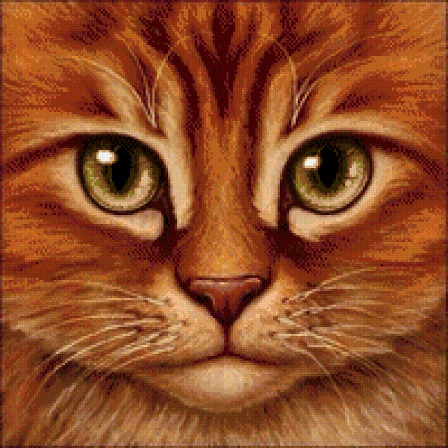 №782688 - звери, животные, котенок, кошки - предпросмотр