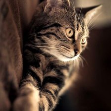 Схема вышивки «№782689»