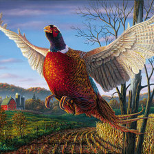 Схема вышивки «№782966»