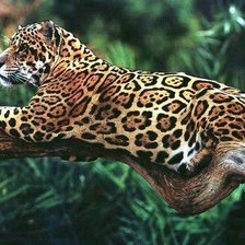 Схема вышивки «№783008»