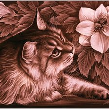 Схема вышивки «коты ирины гармашовой»